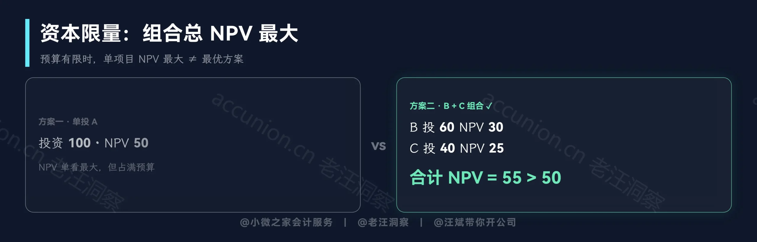 资本限量组合总NPV
